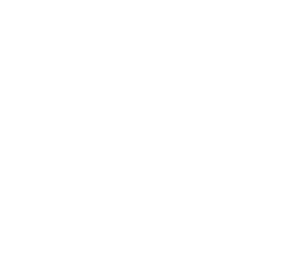 Grupo R&F Seguros
